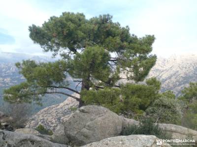 Cerro de la Camorza: Vistas Impresionantes de La Pedriza y el Yelmo;cena de navidad en madrid imagen